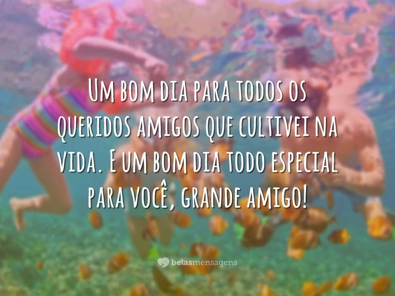 Um bom dia para todos os queridos amigos que cultivei na vida. E um bom dia todo especial para você, grande amigo!