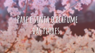 Pare e sinta o perfume das flores.