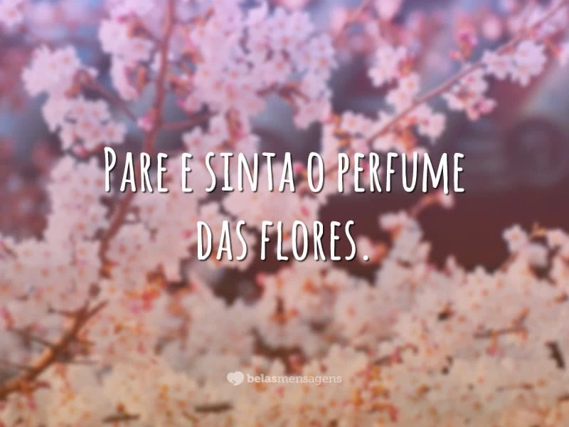 Pare e sinta o perfume das flores.