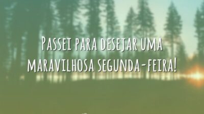 Passei para desejar uma maravilhosa segunda-feira!