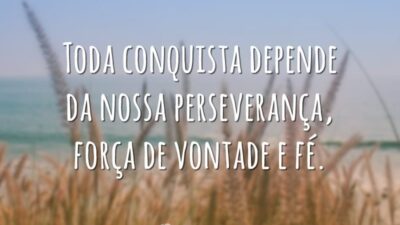 Toda conquista depende da nossa perseverança, força de vontade e fé.