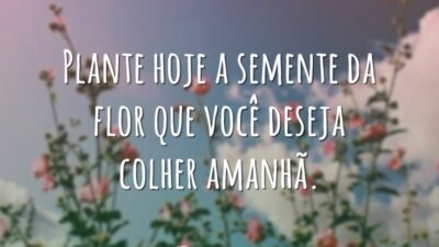 Plante hoje a semente da flor que você deseja colher amanhã.
