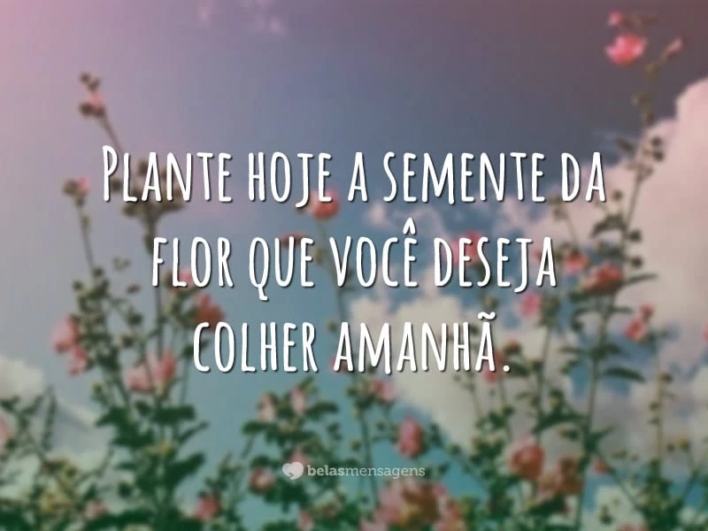 Plante hoje a semente da flor que você deseja colher amanhã.