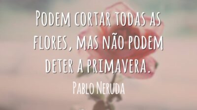 Podem cortar todas as flores, mas não podem deter a primavera.