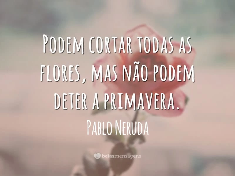 Podem cortar todas as flores, mas não podem deter a primavera.