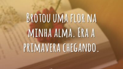 Brotou uma flor na minha alma. Era a primavera chegando.