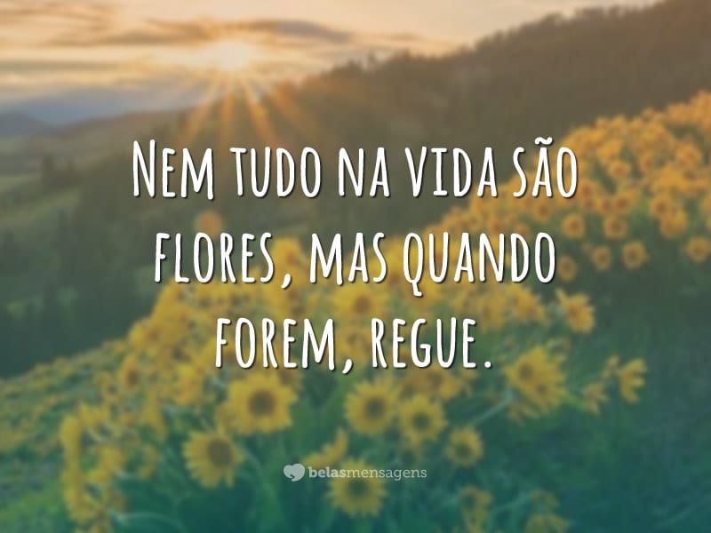 Resultado de imagem para mar coraÃ§Ã£o e flor