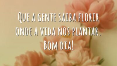Que a gente saiba florir onde a vida nos plantar. Bom dia!