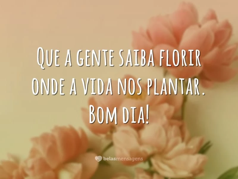 Que a gente saiba florir onde a vida nos plantar. Bom dia!