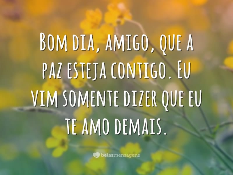 Bom dia, amigo, que a paz esteja contigo. Eu vim somente dizer que eu te amo demais.