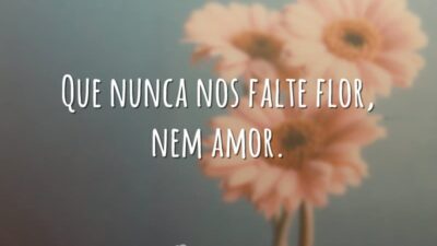 Que nunca nos falte flor, nem amor.