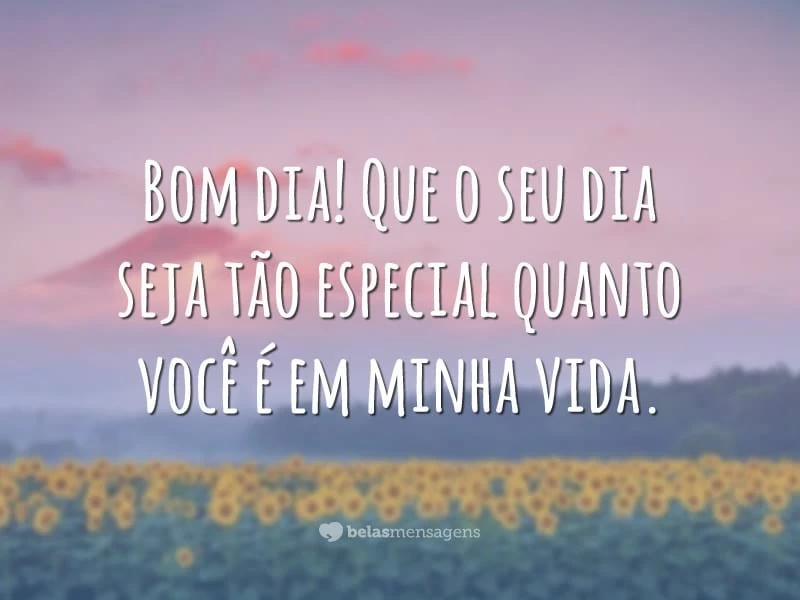 Bom dia! Que o seu dia seja tão especial quanto você é em minha vida.