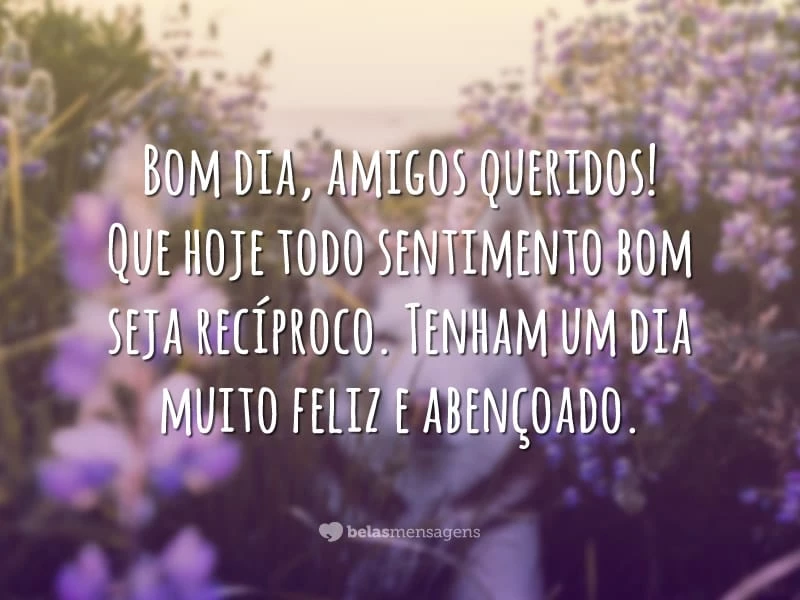 Bom dia, amigos queridos! Que hoje todo sentimento bom seja recíproco. Tenham um dia muito feliz e abençoado.