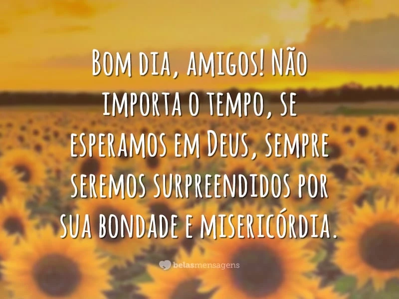 Bom dia, amigos! Não importa o tempo, se esperamos em Deus, sempre seremos surpreendidos por sua bondade e misericórdia.