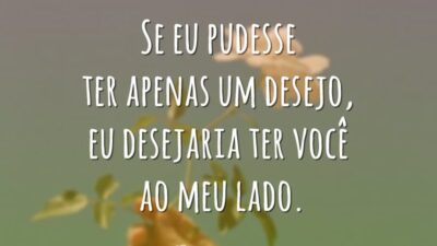 Se eu pudesse ter apenas um desejo, eu desejaria ter você ao meu lado.