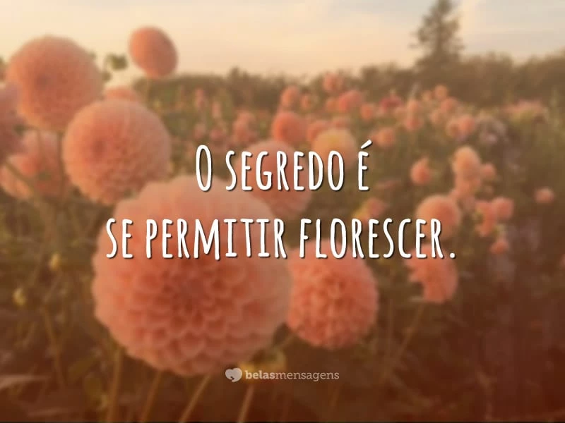 FRASES BONITAS SOBRE A FLORES - Vou jogar no mar Flores pra te encontrar  Porque