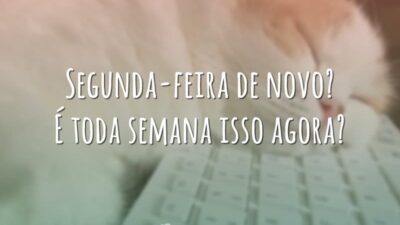 Segunda-feira de novo? É toda semana isso agora?