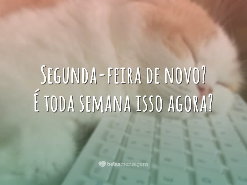 Segunda-feira de novo? É toda semana isso agora?