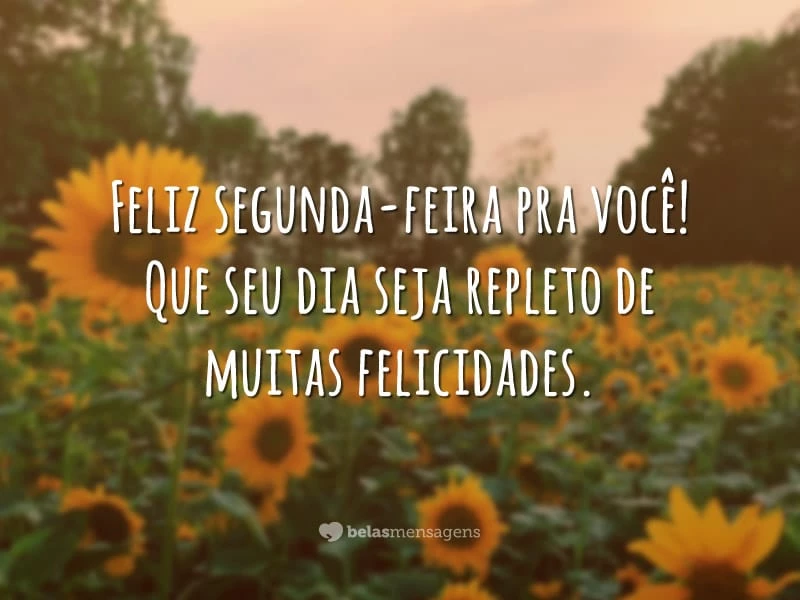 Feliz segunda-feira pra você! Que seu dia seja repleto de muitas felicidades.