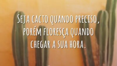 Seja cacto quando preciso, porém floresça quando chegar a sua hora.