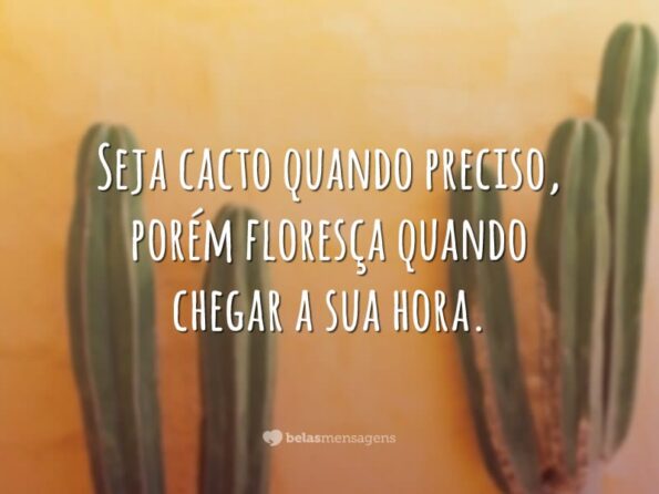 50 frases de flores que trazem muita leveza ao seu dia