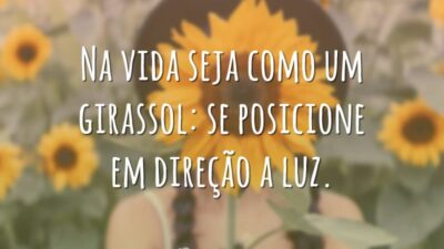 Na vida seja como um girassol: se posicione em direção a luz.