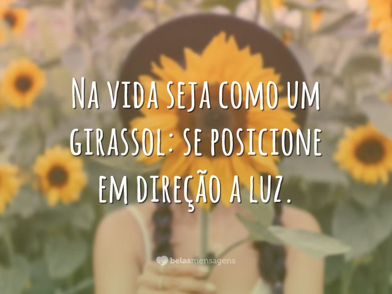 Na vida seja como um girassol: se posicione em direção a luz.