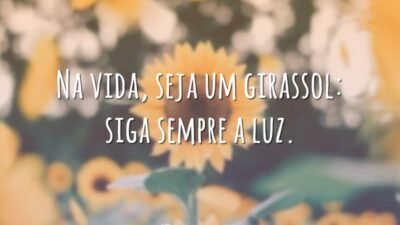 Na vida, seja um girassol: siga sempre a luz.