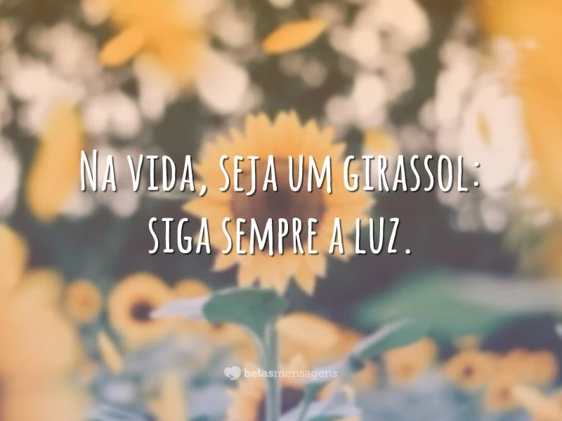 Na vida, seja um girassol: siga sempre a luz.