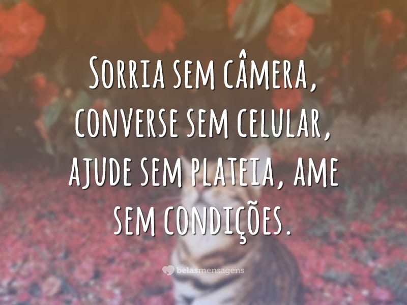 Sorria sem câmera, converse sem celular, ajude sem plateia, ame sem condições.