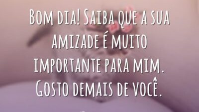 Bom dia! Saiba que a sua amizade é muito importante para mim. Gosto demais de você.