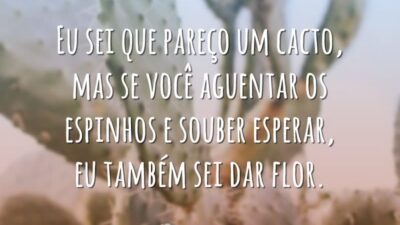 Eu sei que pareço um cacto, mas se você aguentar os espinhos e souber esperar, eu também sei dar flor.