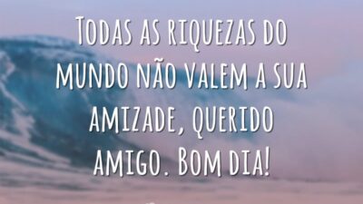 Todas as riquezas do mundo não valem a sua amizade, querido amigo. Bom dia!