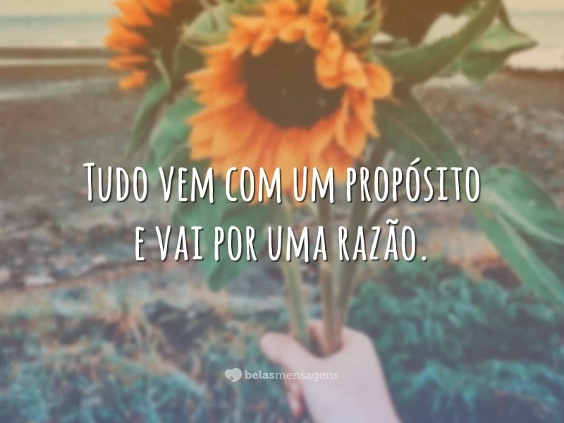 Tudo vem com um propósito e vai por uma razão.