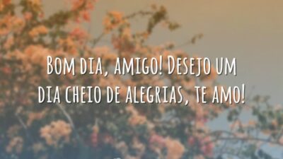 Bom dia, amigo! Desejo um dia cheio de alegrias, te amo!