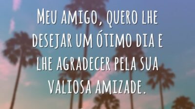Meu amigo, quero lhe desejar um ótimo dia e lhe agradecer pela sua valiosa amizade.