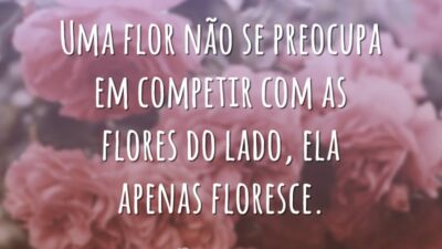Uma flor não se preocupa em competir com as flores do lado, ela apenas floresce.