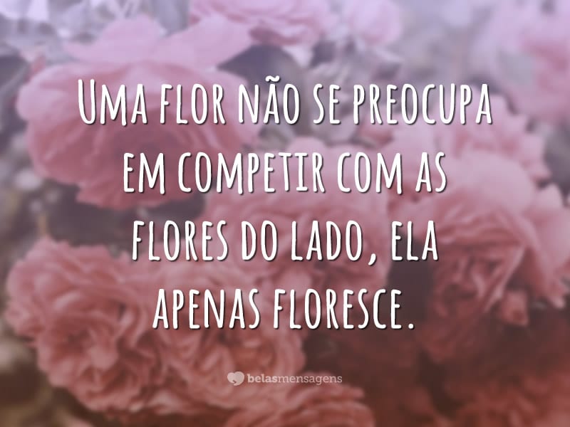 Uma flor não se preocupa em competir com as flores do lado, ela apenas floresce.