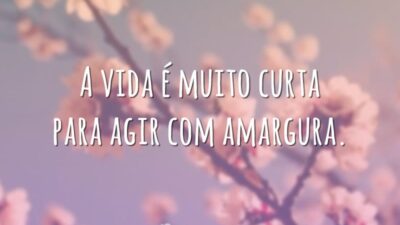A vida é muito curta para agir com amargura.