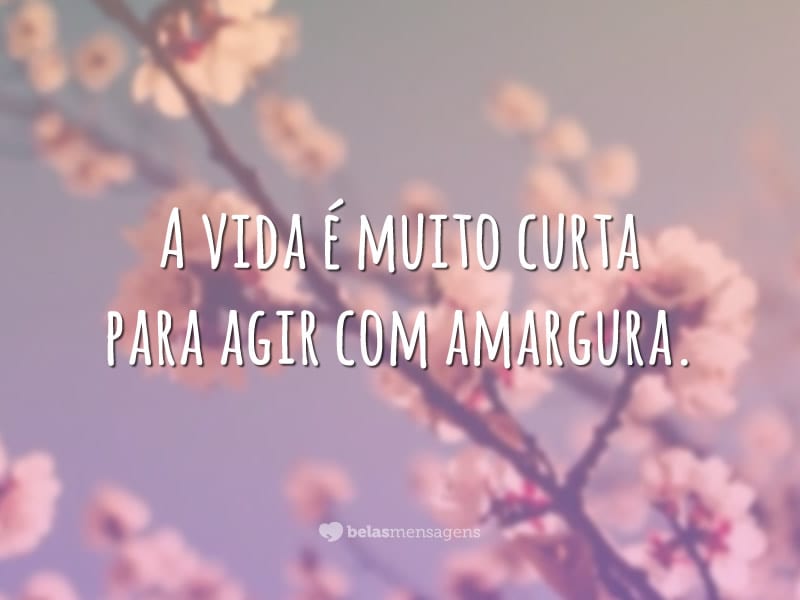 A vida é muito curta para agir com amargura.