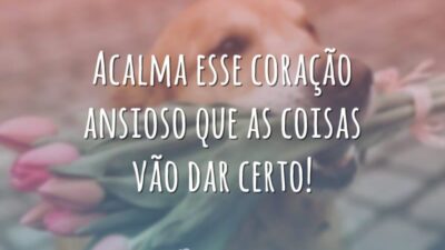 Acalma esse coração