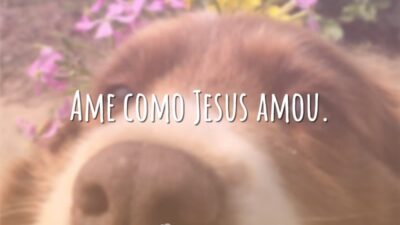 Ame como Jesus amou.