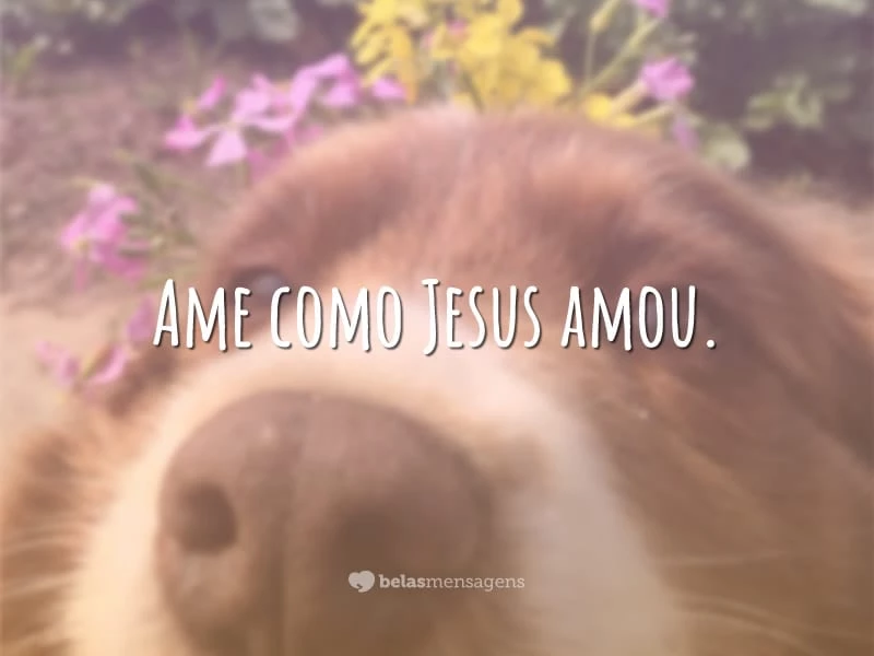 Ame como Jesus amou.