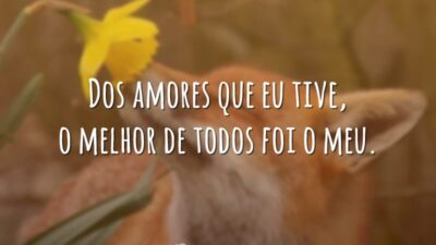 Dos amores que eu tive, o melhor de todos foi o meu.