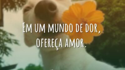 Em um mundo de dor, ofereça amor.
