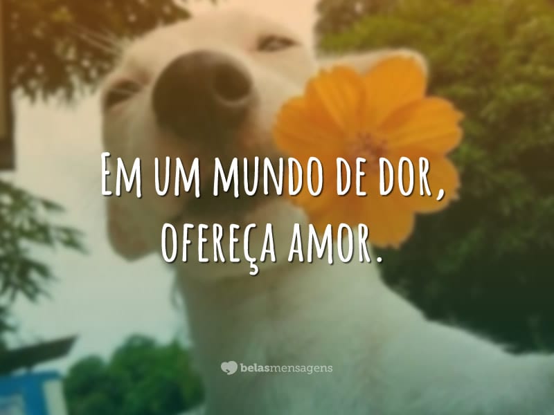 Em um mundo de dor, ofereça amor.