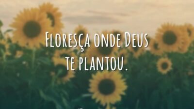Floresça onde Deus te plantou.