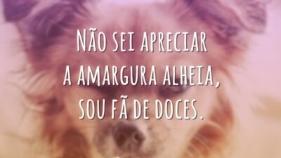 Não sei apreciar a amargura alheia, sou fã de doces.