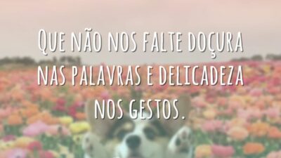 Que não nos falte doçura nas palavras e delicadeza nos gestos.