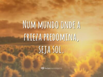 Seja sol